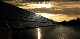 India Sets Record with 24 GW Solar Capacity in 2024 India installed a record-breaking 24.5 GW of solar power capacity in 2024, leading its renewable energy mix at 47% share.