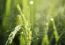 Piyush Goyal Urges Green and Modular Infra Focus Goyal calls for reducing import dependency and boosting green, modular construction at Vibrant Buildcon 2025.