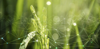 Piyush Goyal Urges Green and Modular Infra Focus Goyal calls for reducing import dependency and boosting green, modular construction at Vibrant Buildcon 2025.