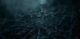 Scattered Spider Strikes Aviation Sector Google and Palo Alto warn of Scattered Spider targeting aviation firms. Recent cyber incidents spark concern over rising threats to airlines.