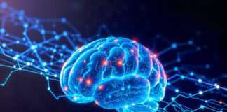 Study Flags Behavioural Leakage in AI Model Training New research shows AI models can absorb behavioural tactics from each other through filtered training data, raising safety concerns.