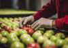 FSSAI Warns Ecommerce Firms on Food Safety Gaps FSSAI warns ecommerce platforms of strict action for non-compliance with food safety protocols after major review.