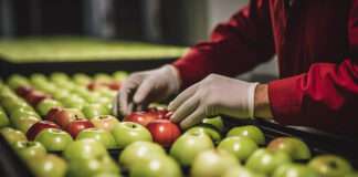 FSSAI Warns Ecommerce Firms on Food Safety Gaps FSSAI warns ecommerce platforms of strict action for non-compliance with food safety protocols after major review.
