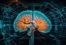 NeuroDx MANAS‑1 Brain Model Targets Early Neurological Diagnosis NeuroDx MANAS‑1 Brain Model Targets Early Neurological Diagnosis